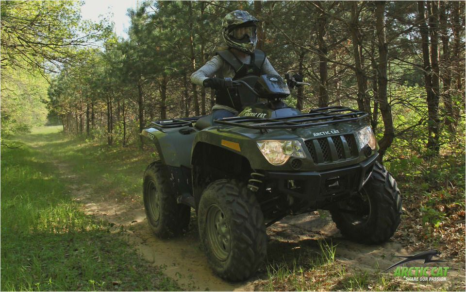 Arctic Cat 500