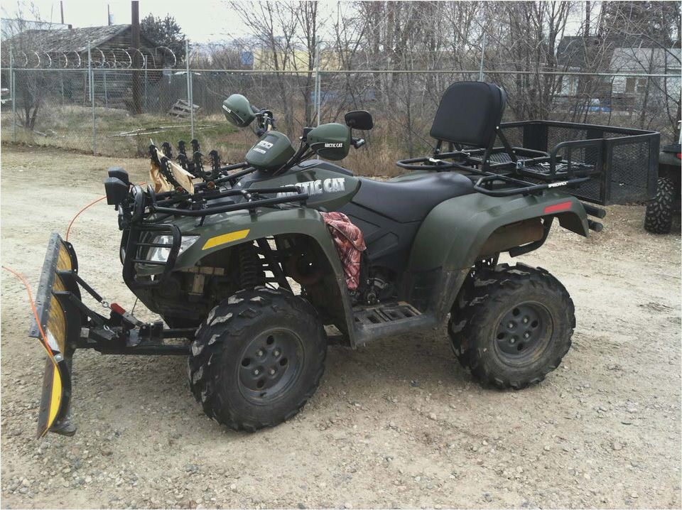 Arctic Cat 500