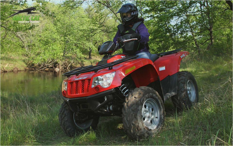 Arctic Cat 500