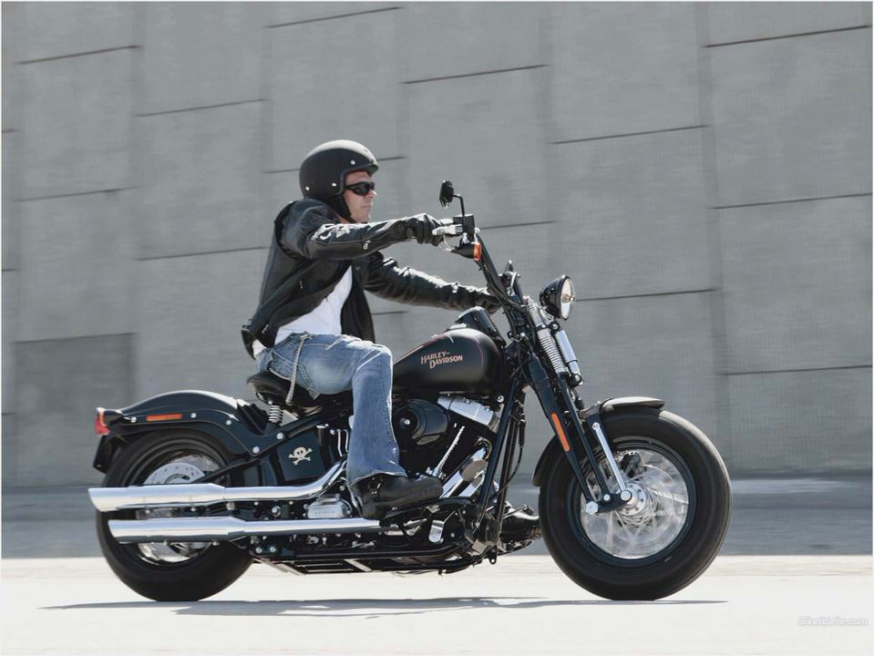 Harley-Davidson FLSTSB Cross Bones