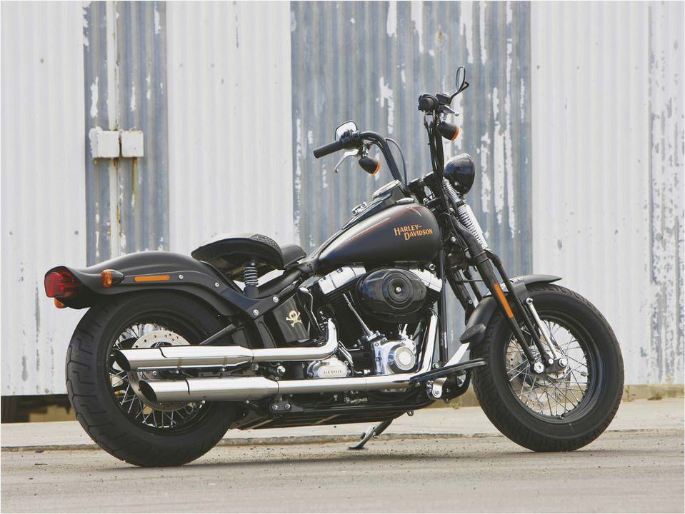 Harley-Davidson FLSTSB Cross Bones