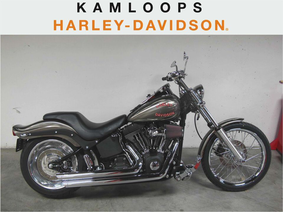 Harley-Davidson FXSTB Night Train