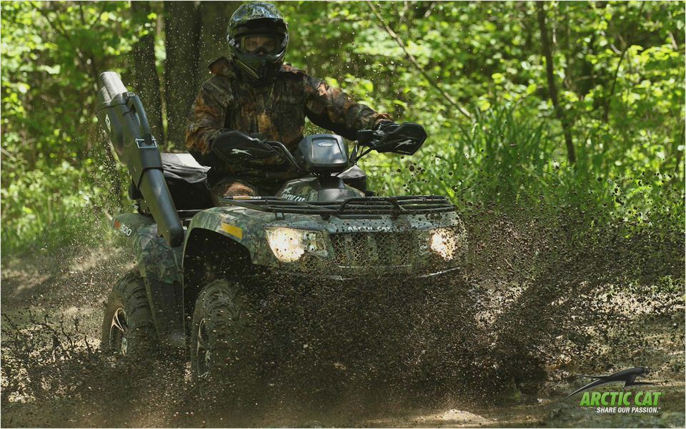 Arctic Cat 500