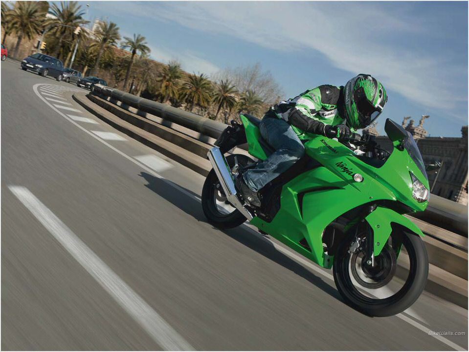 Kawasaki Ninja 250 R