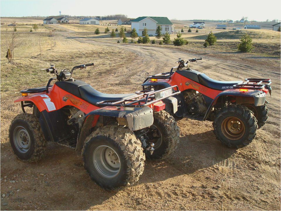 Arctic Cat 454