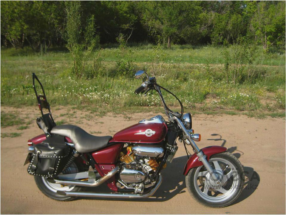 Honda V-Twin Magna