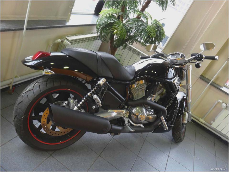 Harley-Davidson VRSCR Street Rod Harley-Davidson VRSCR Street Rod